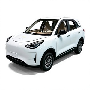 Low-speed EV Four-wheel Vehicle Motor