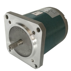 Low Speed Micro Synchronous Motor