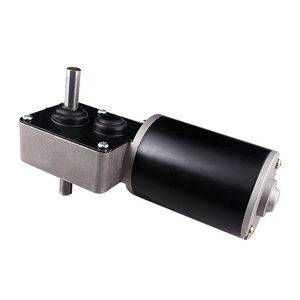 76mm Double Shaft Lifting Motor